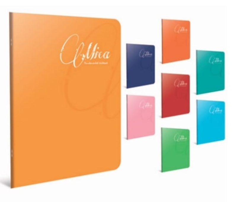GIPTA MICA A4 60 YP KARELİ PP KAP.DEFTER 1705