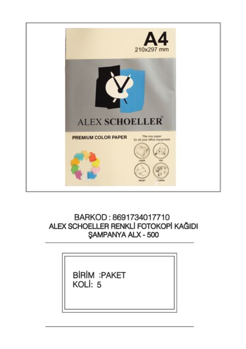ALEX ALX-500 A4 ŞAMPANYA FOTOKOPİ KAĞ.500 LÜ
