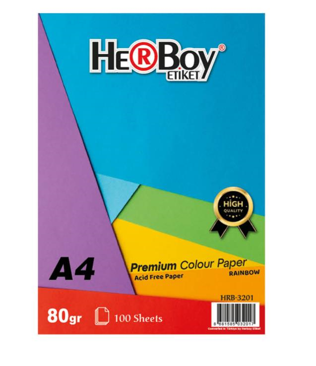 HERBOY A4 FOTOKOPİ KAĞIDI 10 RENK 100 LÜ KARIŞIK HRB-3201