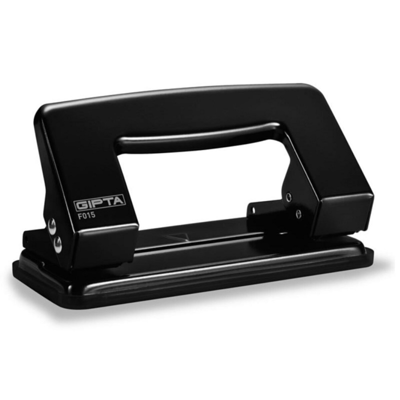 GIPTA F017 DELGEÇ 10 yp.(ÖZEL FİYAT)