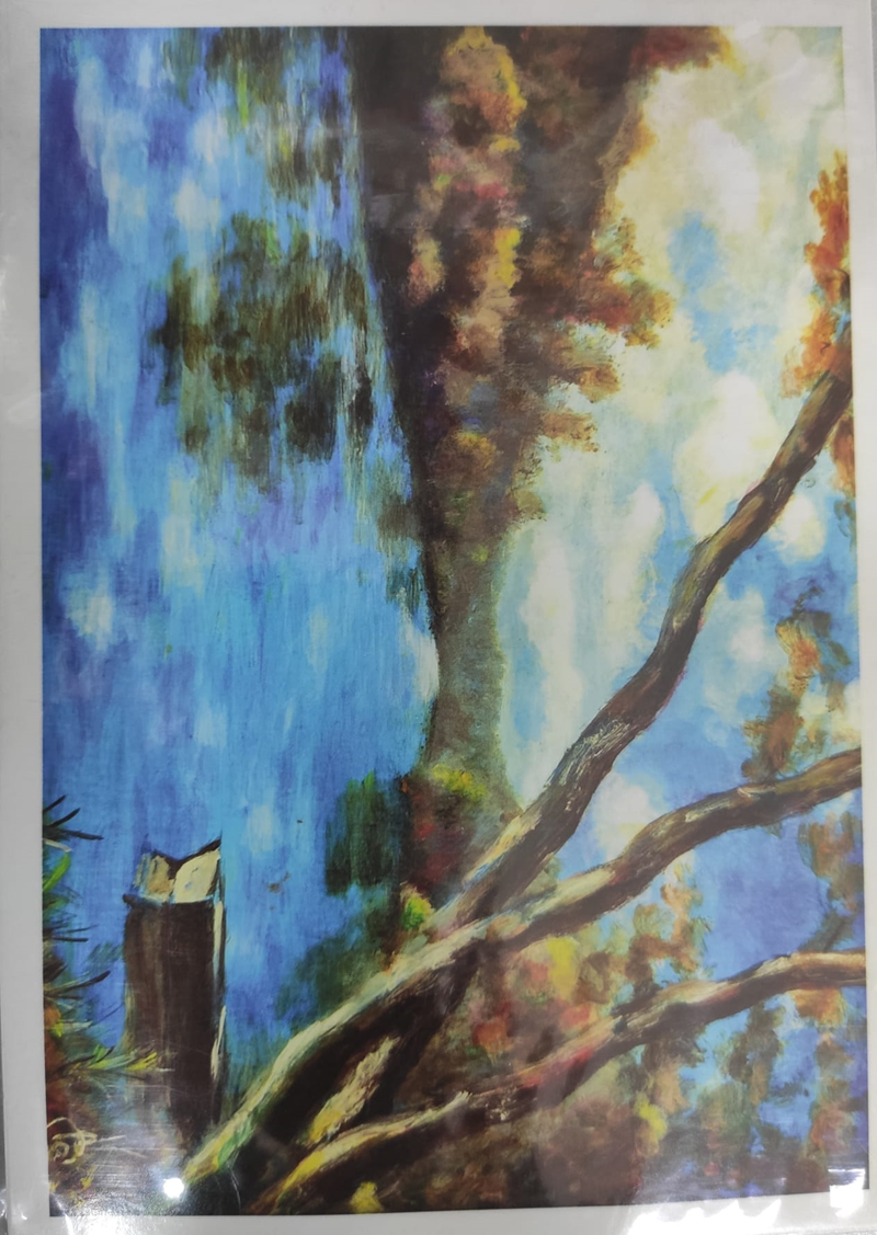 SEVEN KARTPOSTAL SVN-501/502/503