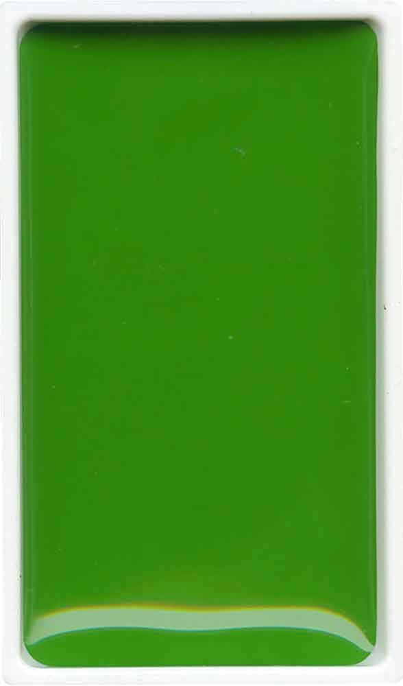 ZIG SULUBOYA GANSAI TAMBI TABLET MC21- 51 SAP GREEN LIGHT