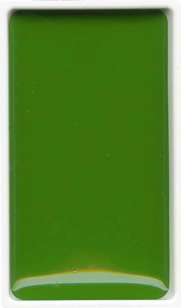 ZIG SULUBOYA GANSAI TAMBI TABLET MC21- 53 SAP GREEN