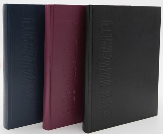 DİLMAN DEFTER ÜNİVERSİTE DİKİŞLİ SERT KAPAK 20x28 300 YP DÜZ 6809